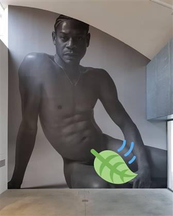 Telfar — foto 1 di 4